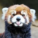 Oregon Zoo
