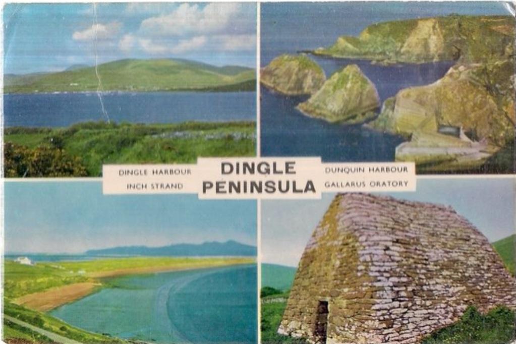 The Wedding Website of Abigail Chalmers and Pierre O'Driscoll