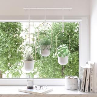 Triflora Hanging Planter