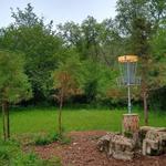 Disc Golf!
