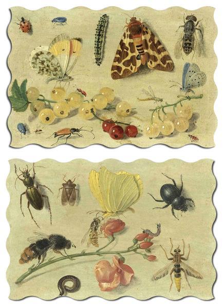 Artifact Puzzles - Kessel Bugs Double-Sided Wooden Jigsaw Puzzle