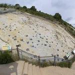 Dinosaur Ridge