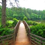 William B Umstead State Park Road