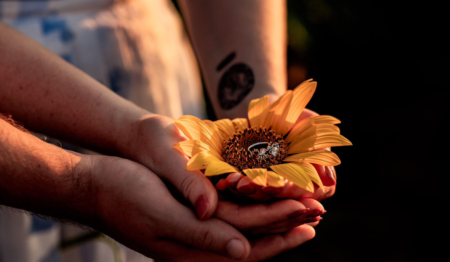 Footer image