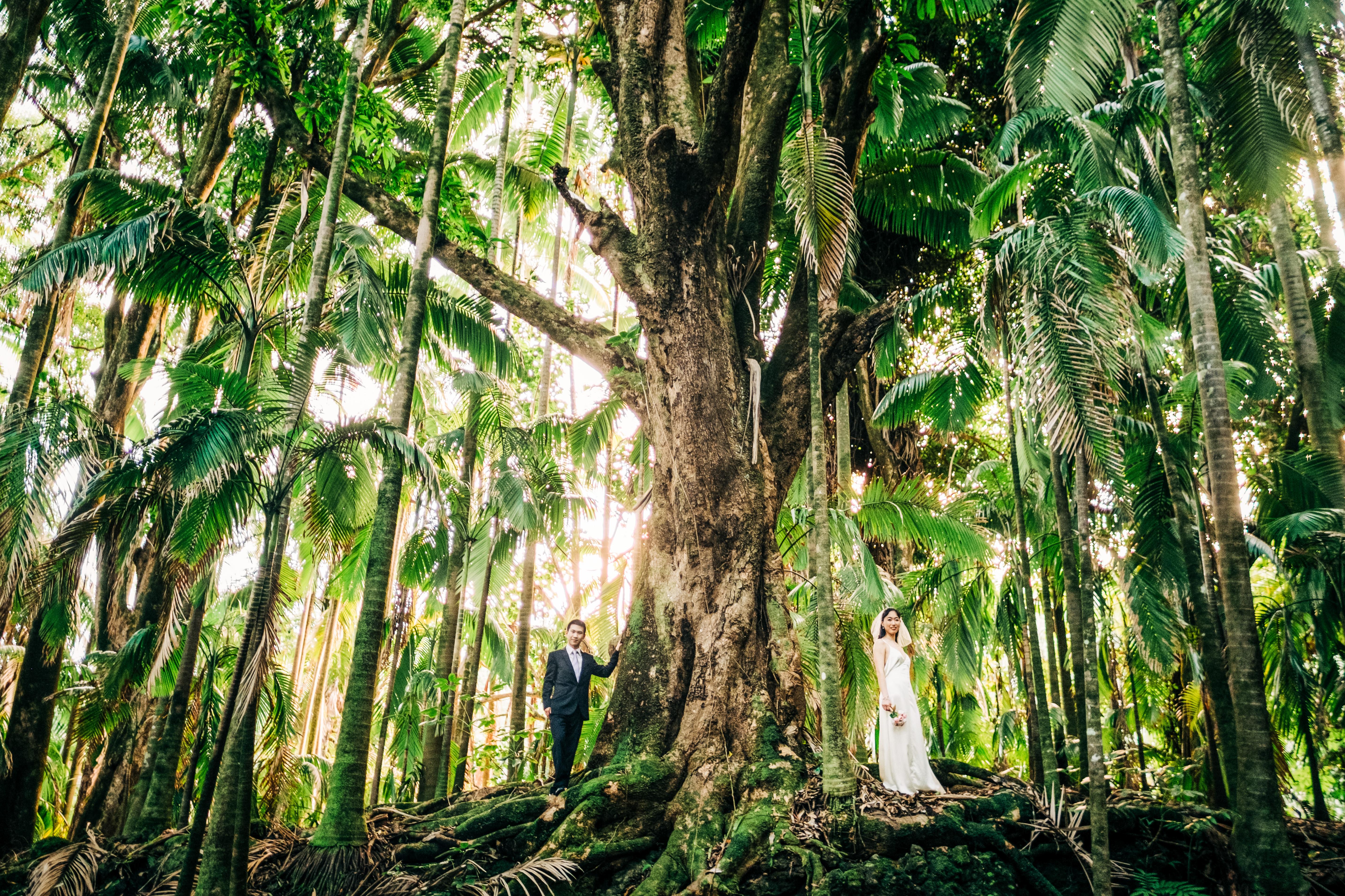 The Wedding Website of Liaowang Zou and Geng Zhao