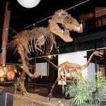 Museum of Natural Science