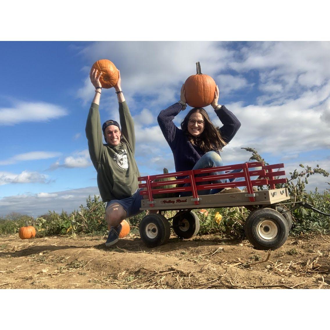 Pumpkin pickin