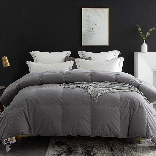 Globon Goose Down Comforter Queen Size All Season Duvet Insert Ultra-Soft 100% Cotton, 38OZ,650 Fill Power, Medium Warmth Hypoallergenic with Corner Tabs, Grey.…