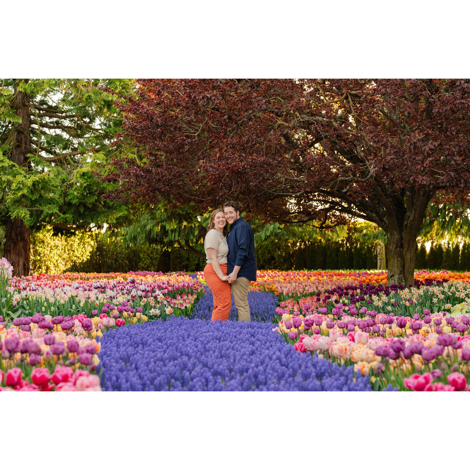 Engagement photos taken by the incredible Caylie Mash at Roozengaarde in Mount Vernon, WA for the tulip festival, one of our favorite events each year. April 2025