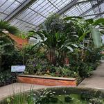 Matthaei Botanical Gardens