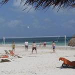 Beach Volleyball