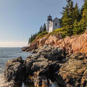 Our Millie-Moon in Maine Fund