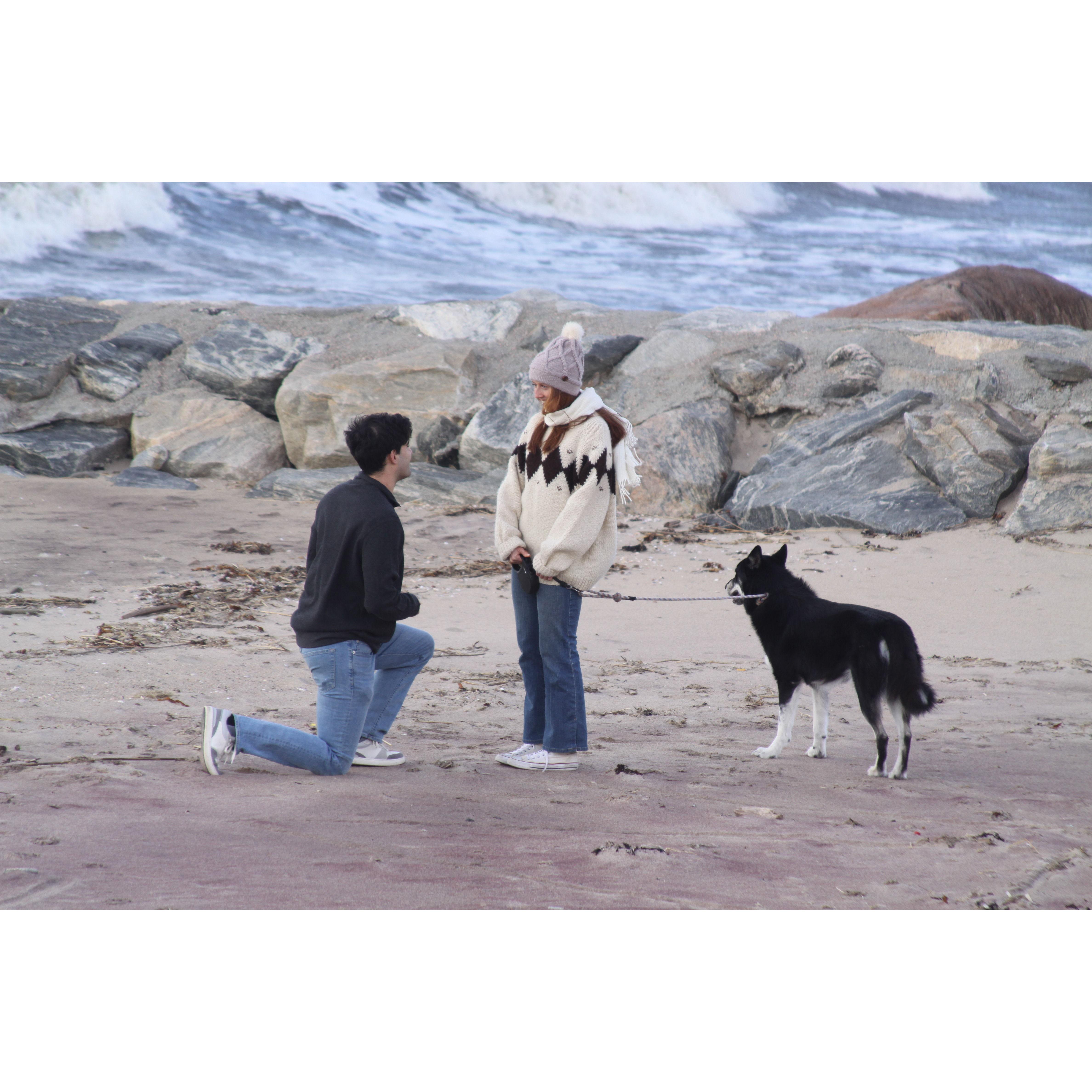 Special moment on the beach in Old Saybrook