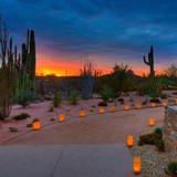 Desert Botanical Garden