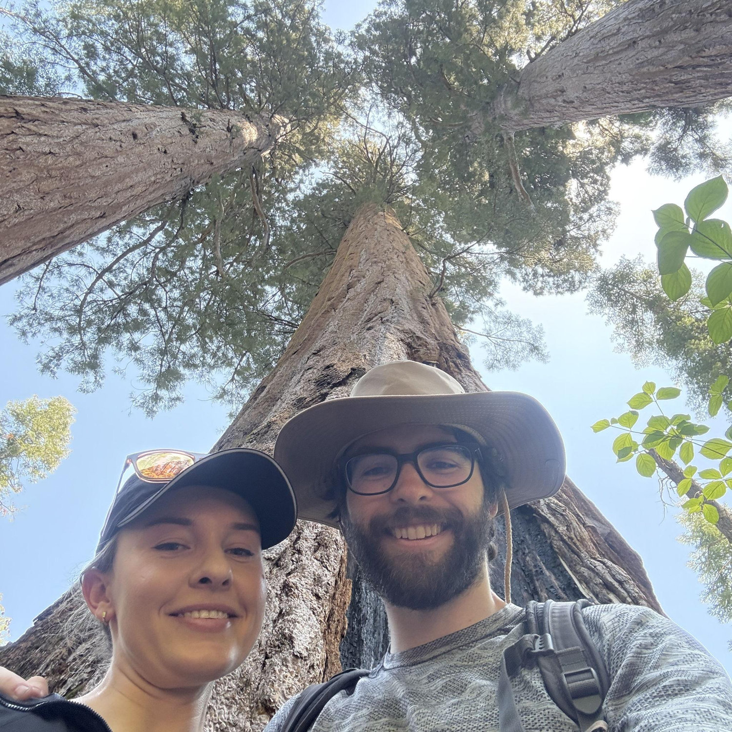 Calaveras Big Trees