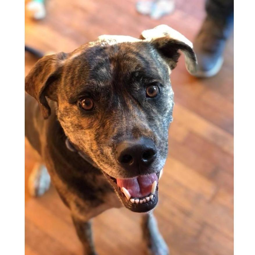 More shameless pictures of our fur babies - Washburne