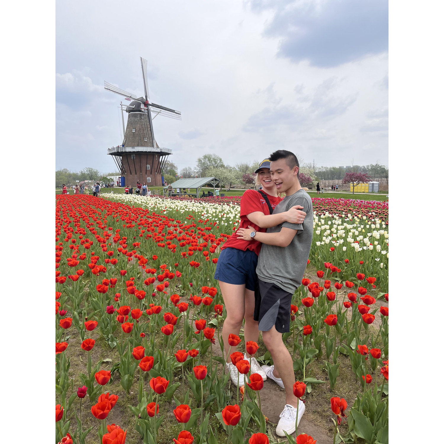 Holland Tulip Time!