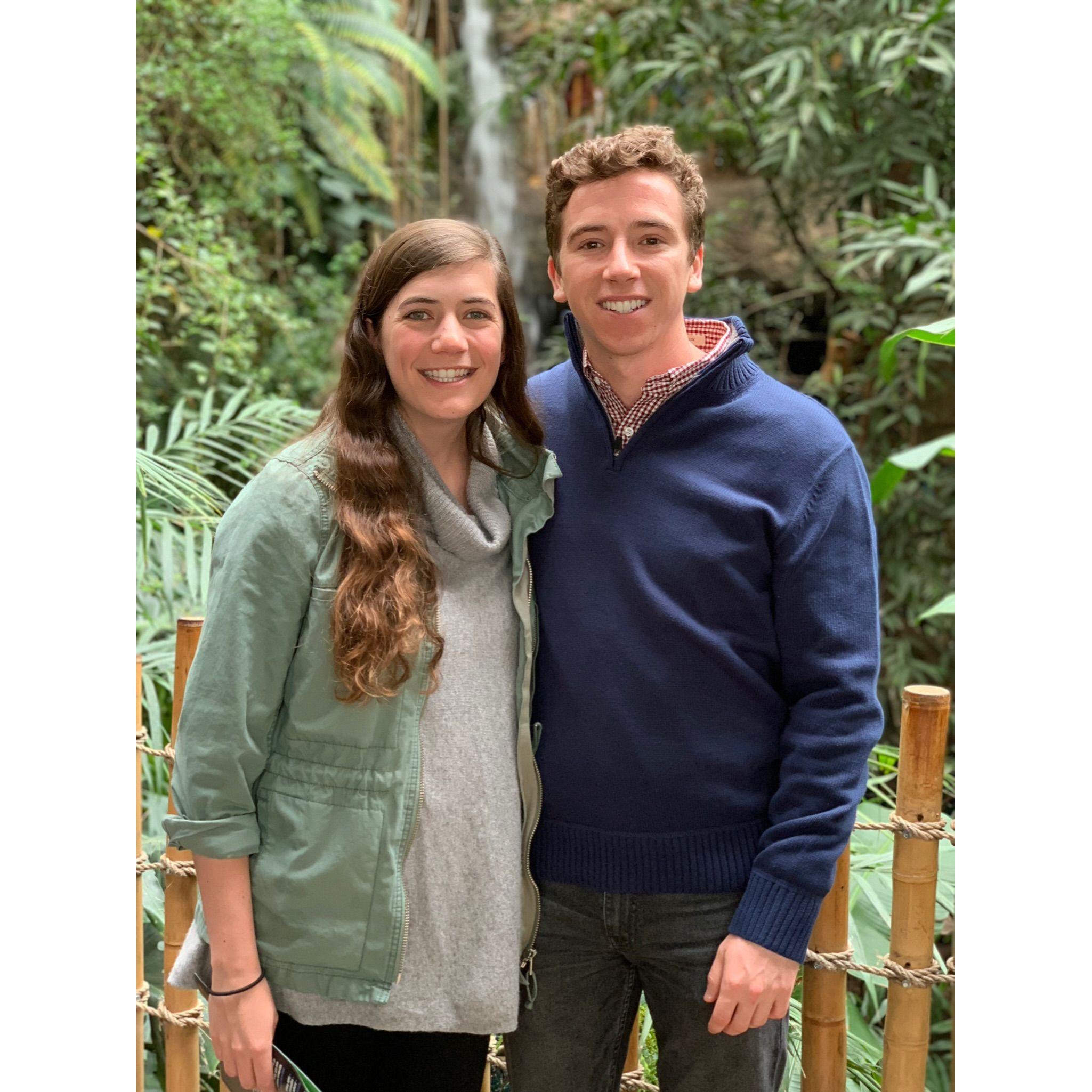 Date nights in Dallas at the Aquarium