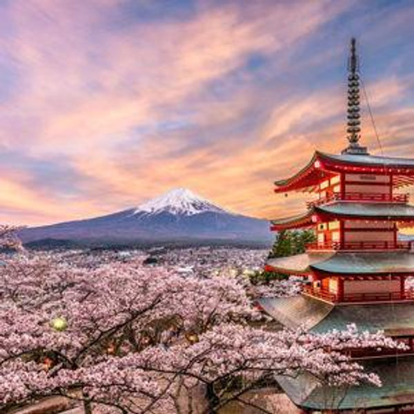 Honeymoon Hotel in Japan