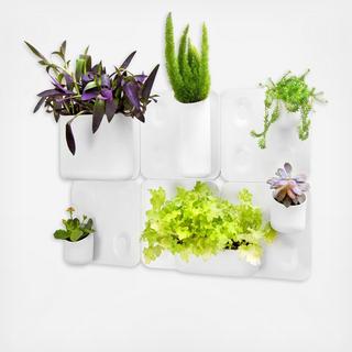 Big Happy Family Magnetic Wall Storage System