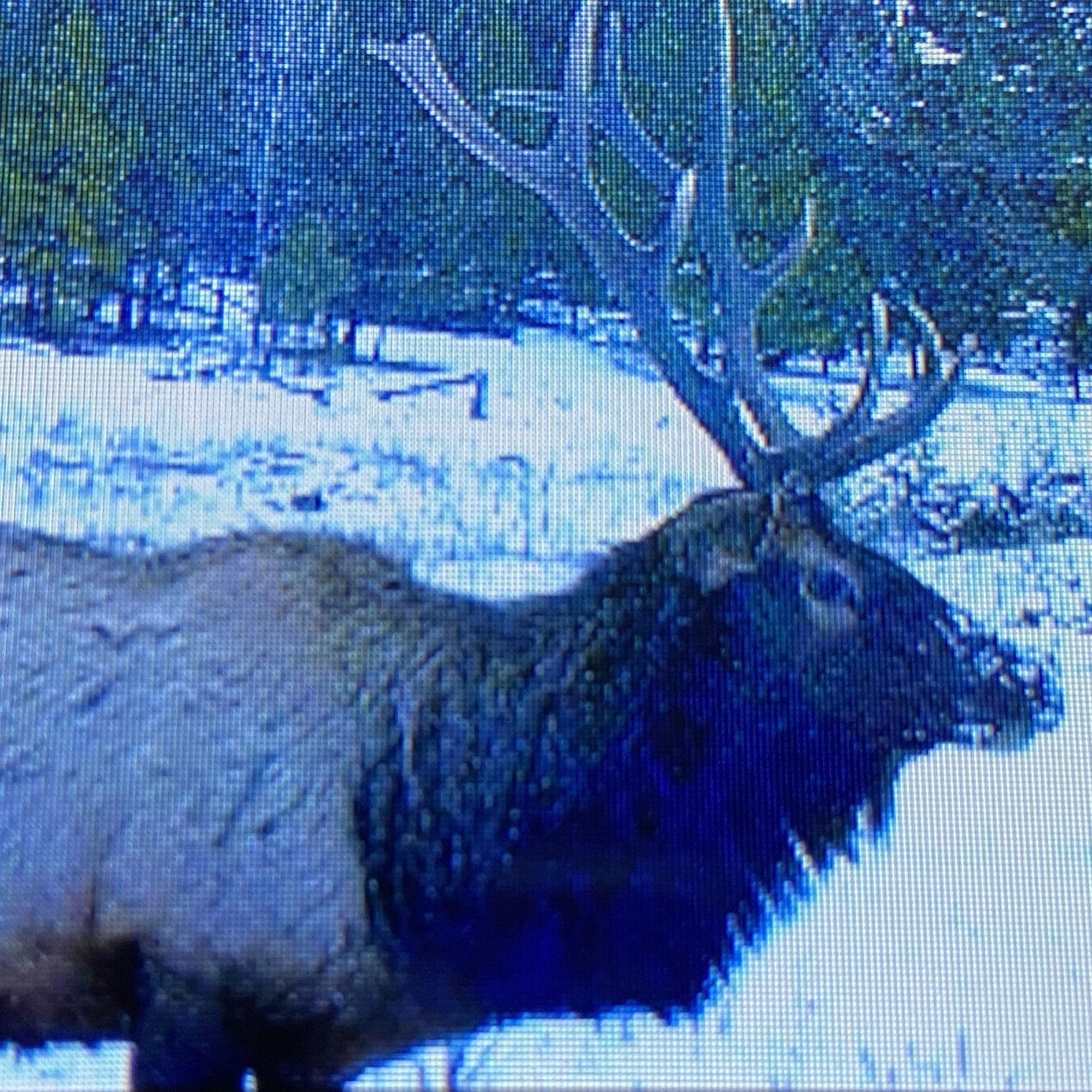 In less than 2 months our game cams had 30,000 pics...