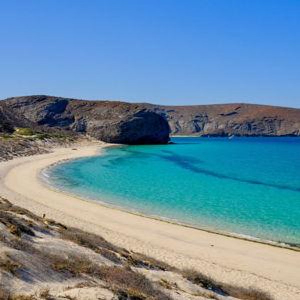 Todos Santos Honeymoon Fund