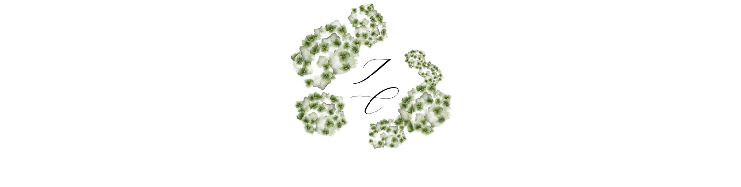 The Wedding Website of Tais Salerno Mey and Cruz González Giménez