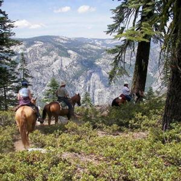 Honeymoon horseback riding
