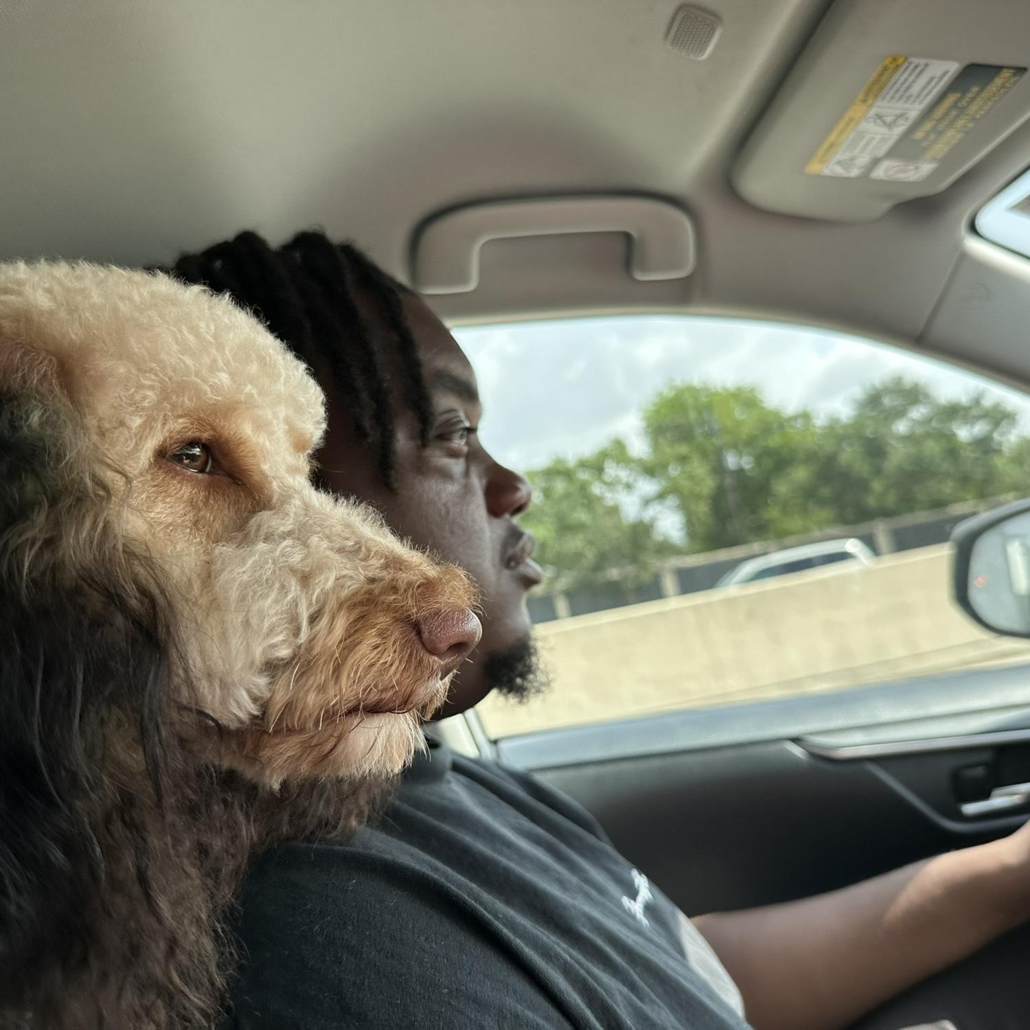 Hey Siri, “play Protecter by Beyoncé” 😂