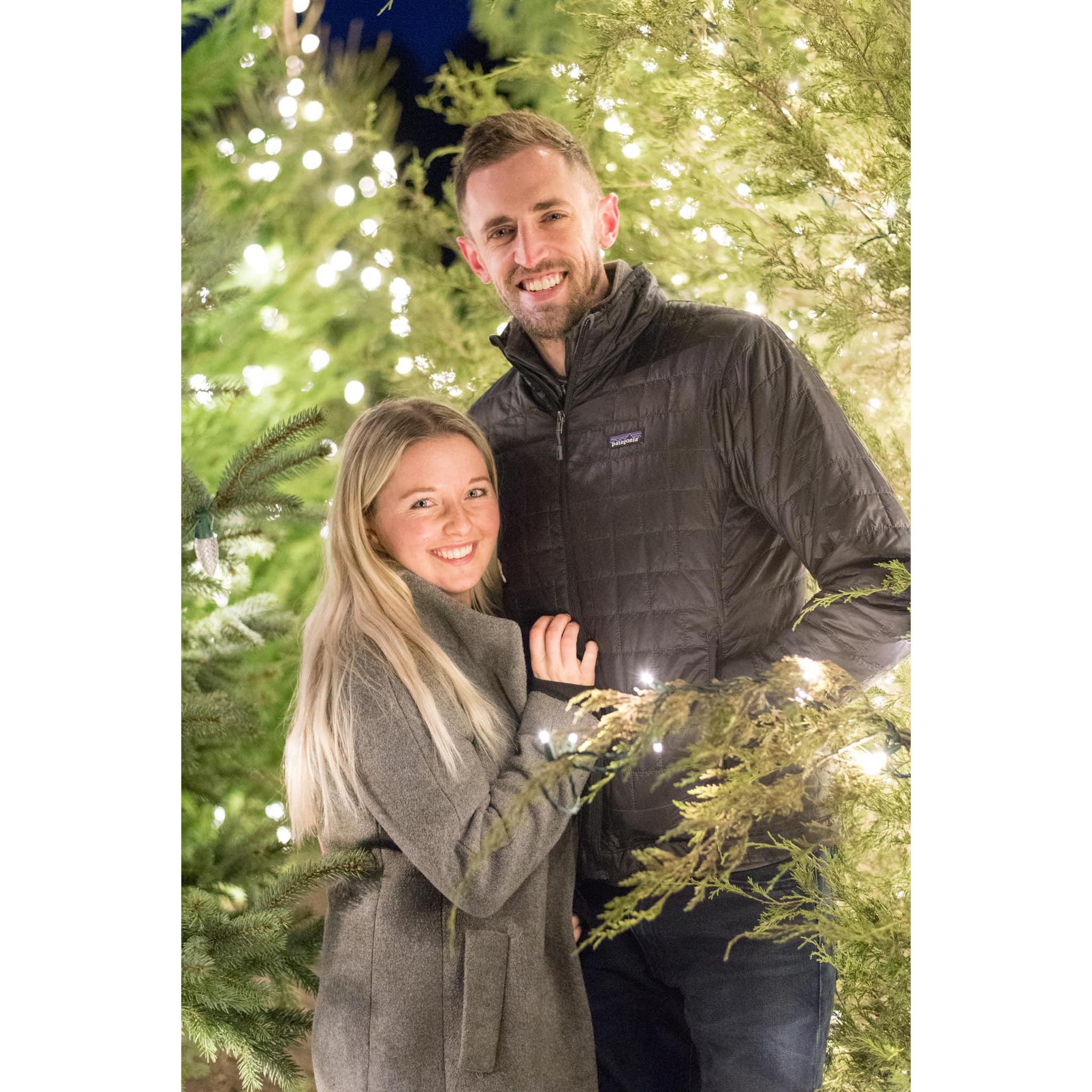 Christmas at the Biltmore, Asheville, NC