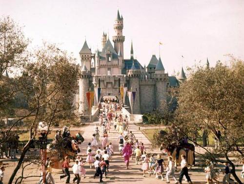 Disneyland Theme Park Tickets