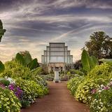 Forest Park