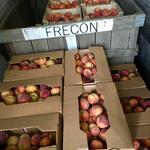 Frecon Farms
