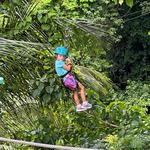 Antigua Rainforest Canopy Tour
