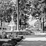Old Towne Orange