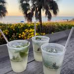 Gumbo Limbo