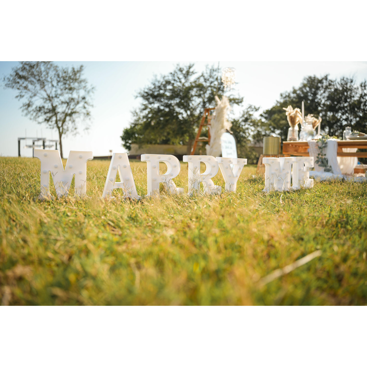 The proposal!