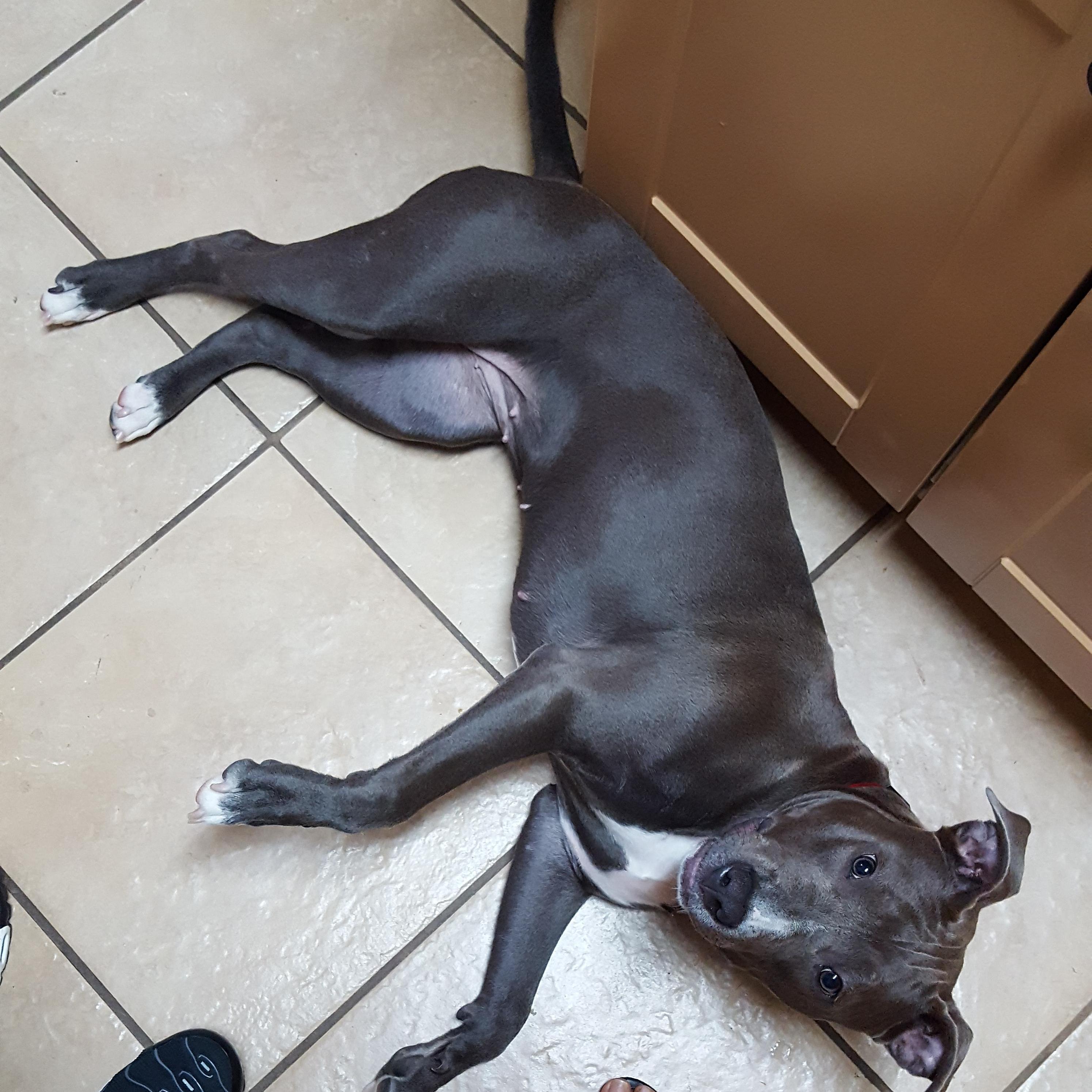She is huge now!