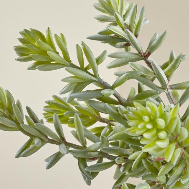 Artificial Sedum Album Succulent Stem