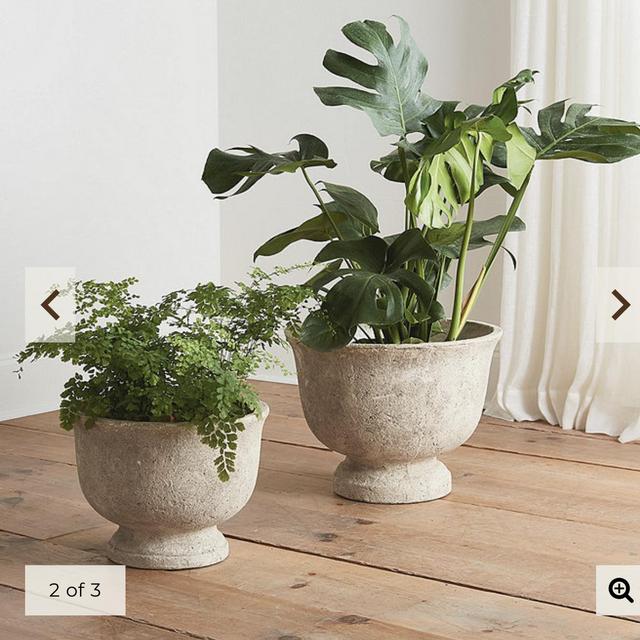 Ballard Design Gordon planter