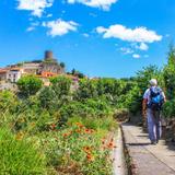 Laroque-des-Albères - Randonnée / Hike