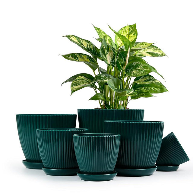 Flower Pot, 7.5/6.6/5.8/5.0/4.3/3.5 inches, 6pcs Plastic Flower Pot, Indoor/Outdoor Home Decoration Flower Pot, Thick and Durable, pots for Plants with Drainage Holes and Trays