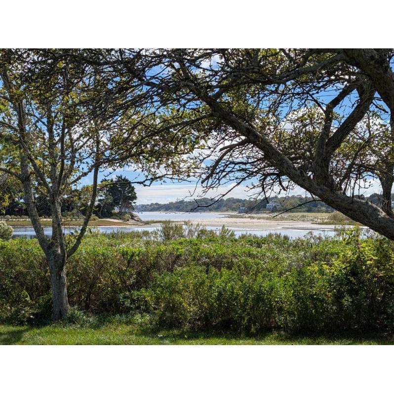 View from the backyard at The Point House, 2024 (Chatham, MA)