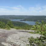 Macricostas Preserve