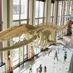 Grand Rapids Public Museum