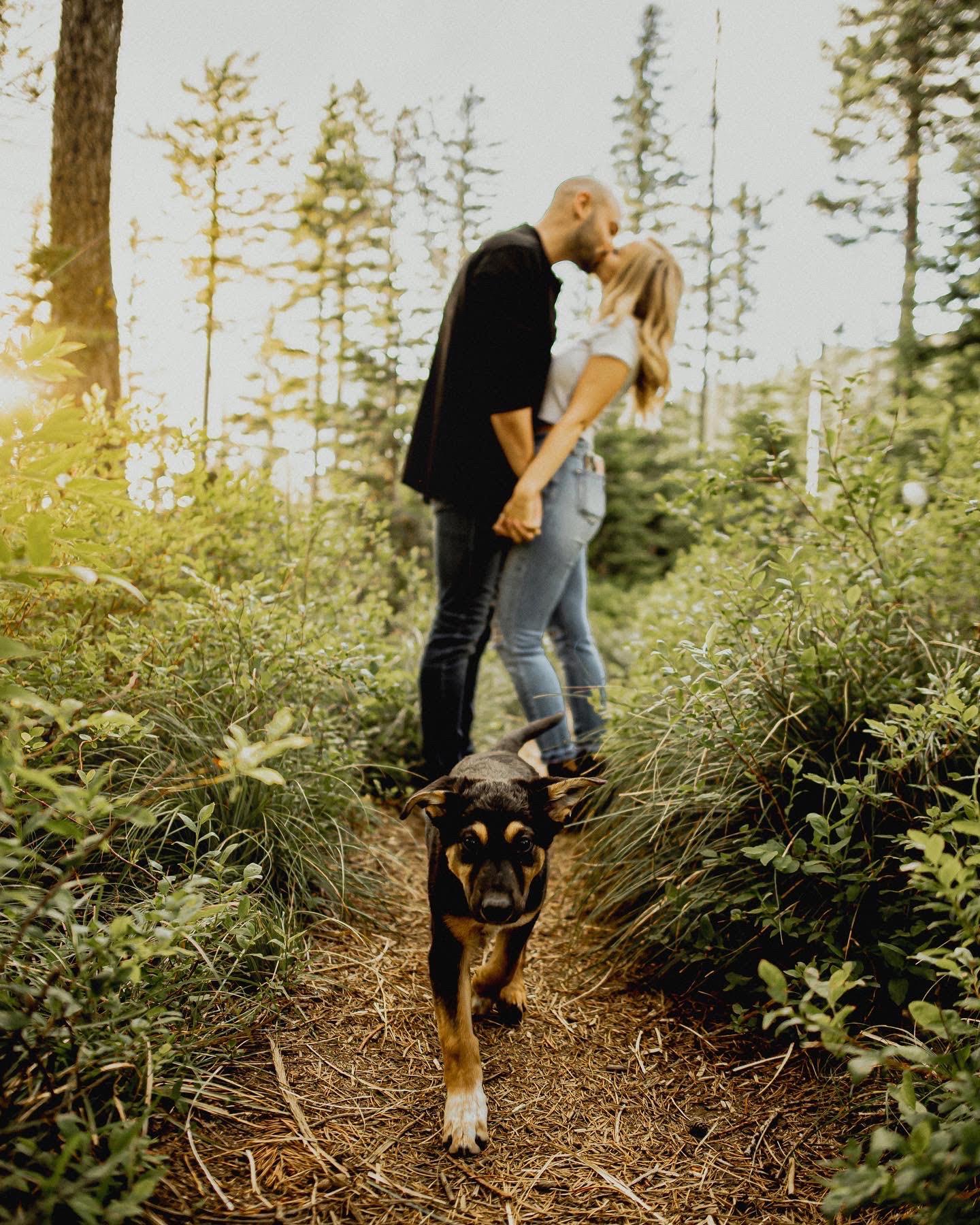 The Wedding Website of Brandon Osusky and Emma Ward