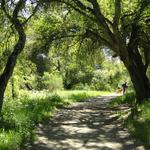 Garland Ranch Regional Park