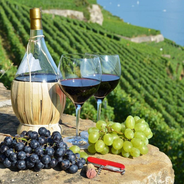 Wine Tasting for Two in Italy!