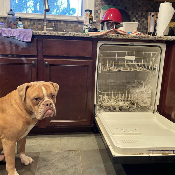 Our Home Renovation Fund