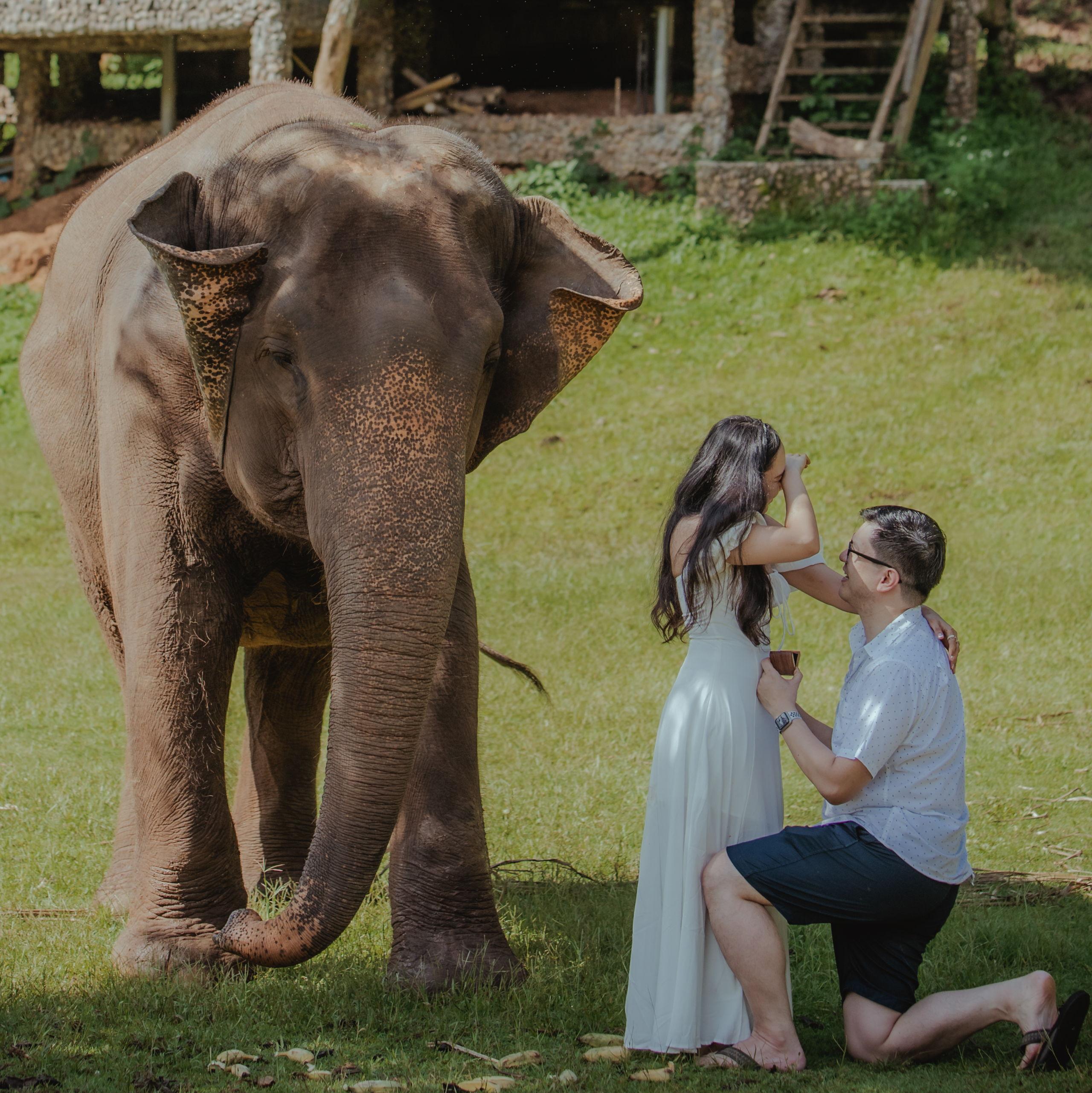 Hero Slideshow Image 1